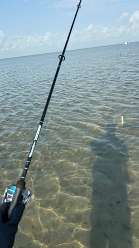 Customer photo review of Waterloo Tide Series