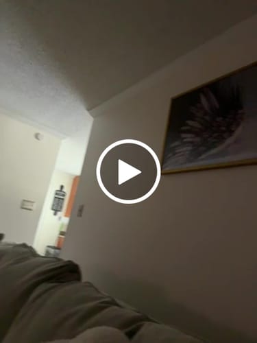 Customer video review of ANGELIC