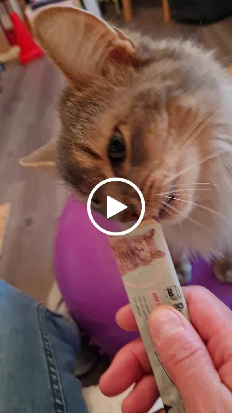 Customer video review of 70% Lachs Schleckies 5x15g