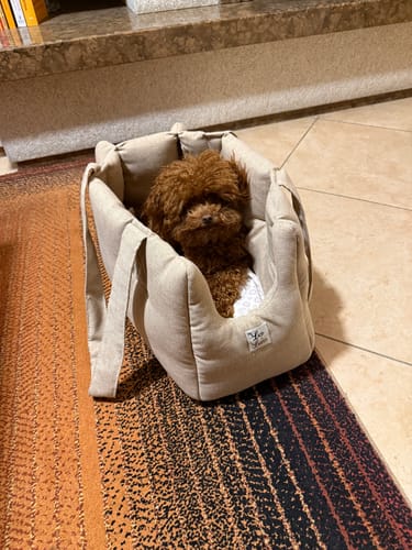 Customer photo review of Borsa Mattias Beige (Soft Touch)