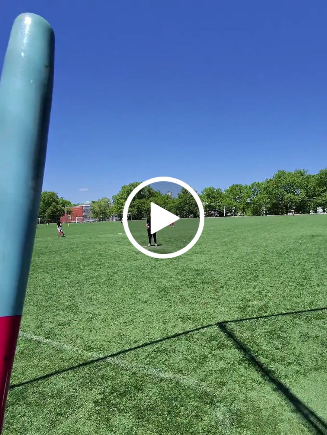 Customer video review of Tater-SB34 Torpedo Official Softball Wood Bat
