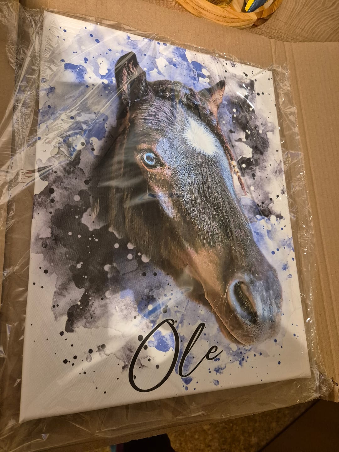 Customer photo review of Dein Pferd als Wasserfarben Portrait