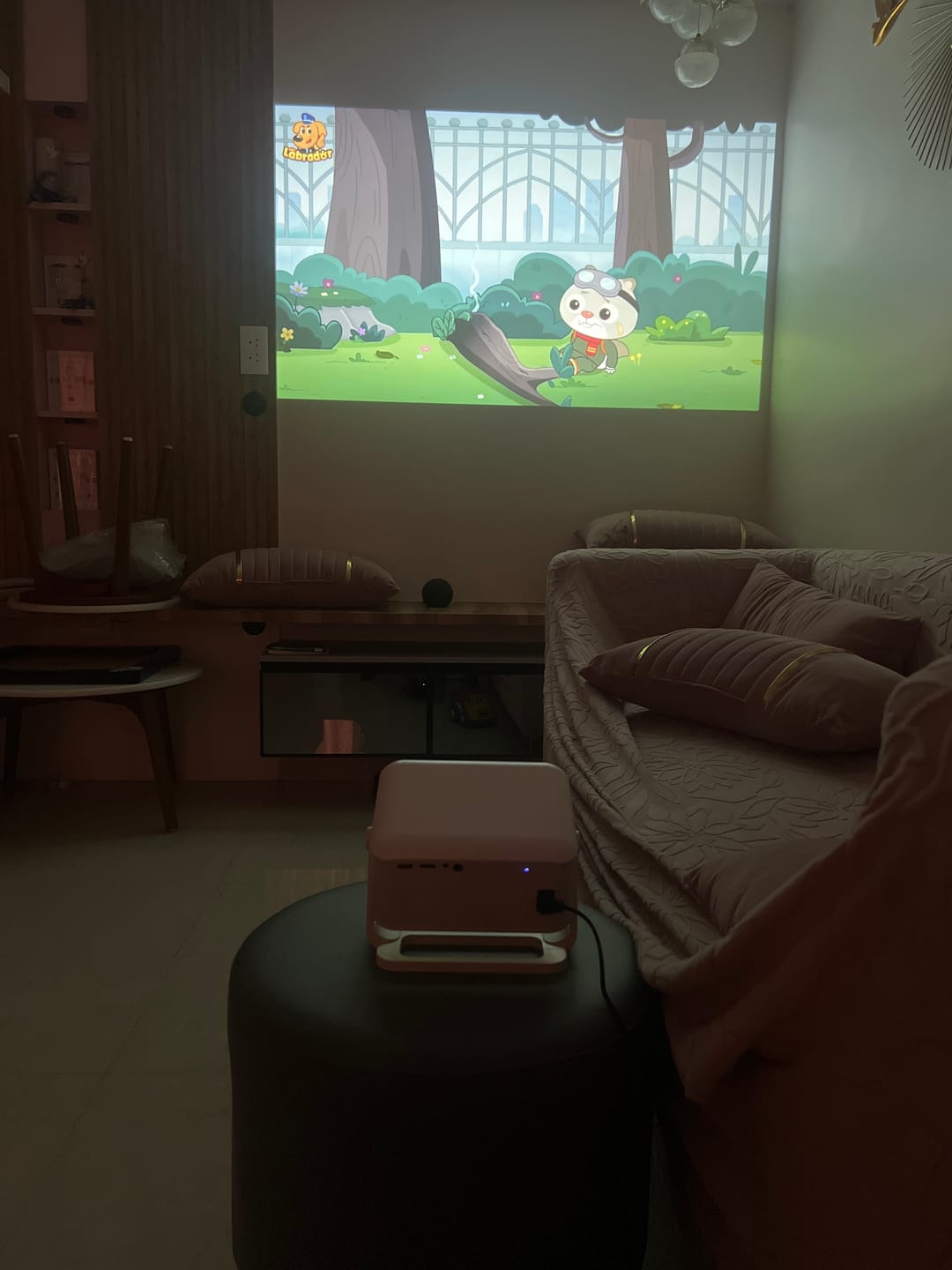 Customer photo review of Lumex Flix