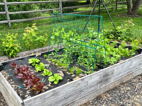 Customer photo review of Design Your Own Garden