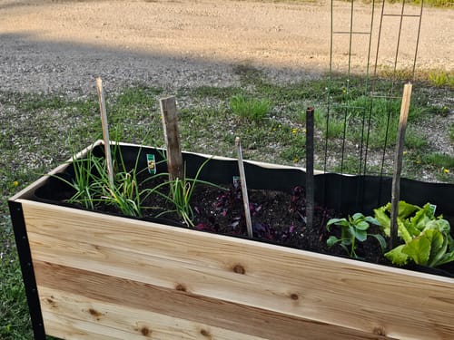 Customer photo review of 18" x 48" Raised Garden Bed - 30" TALL