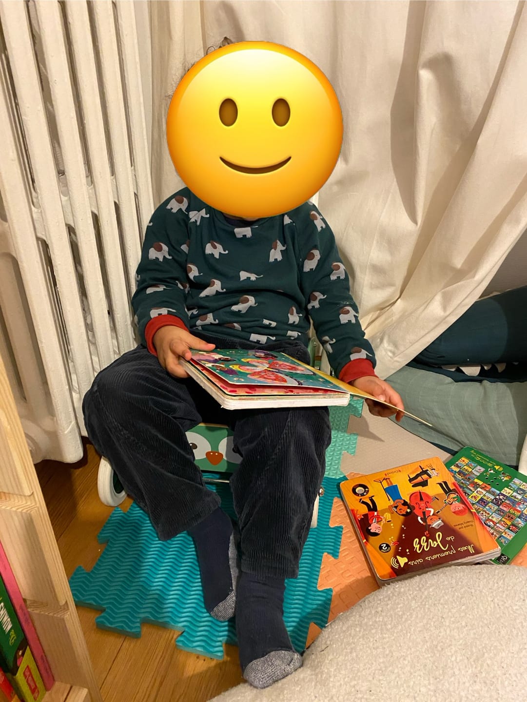 Customer photo review of Elephants Never Forget Raglan Sweatshirt
