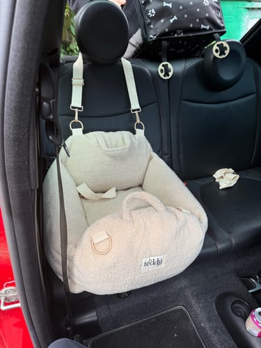 Customer photo review of The Cosy Car Seat