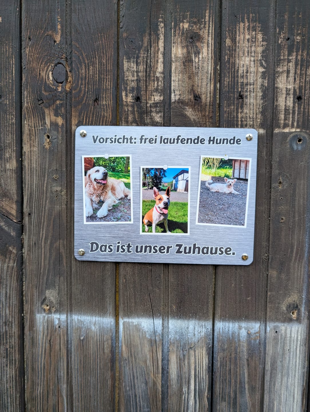 Customer photo review of Hunde-Türschild personalisiert mit Foto & Text (UV- und wetterfest)