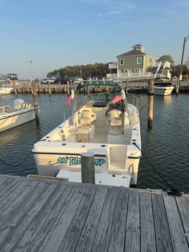 Customer photo review of American Flag