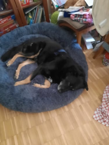 Customer photo review of CalmBed - Motverkar stress & hjälper mot ångest