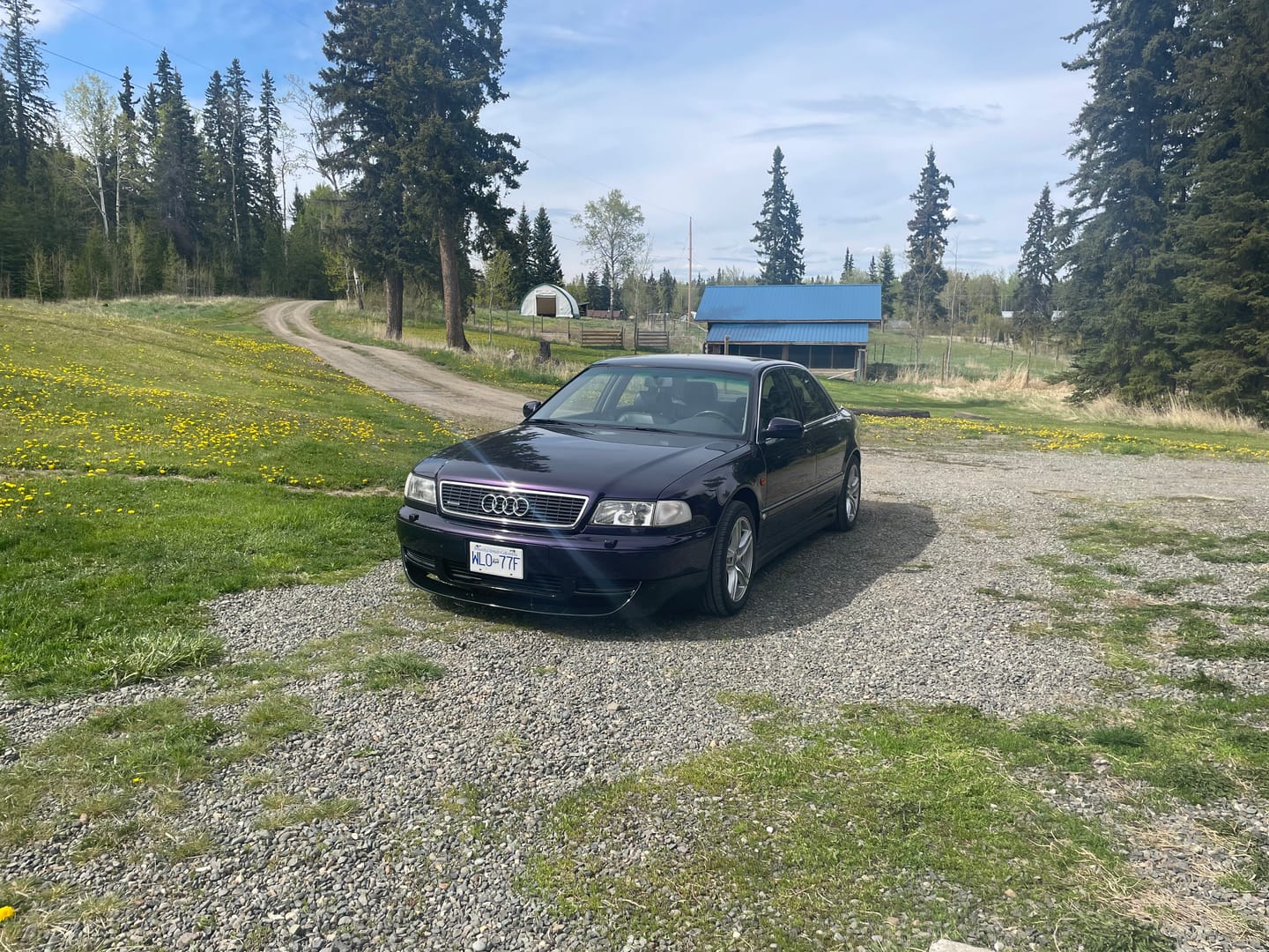 Customer photo review of Glossy Metallic Midnight Purple Vinyl Wrap
