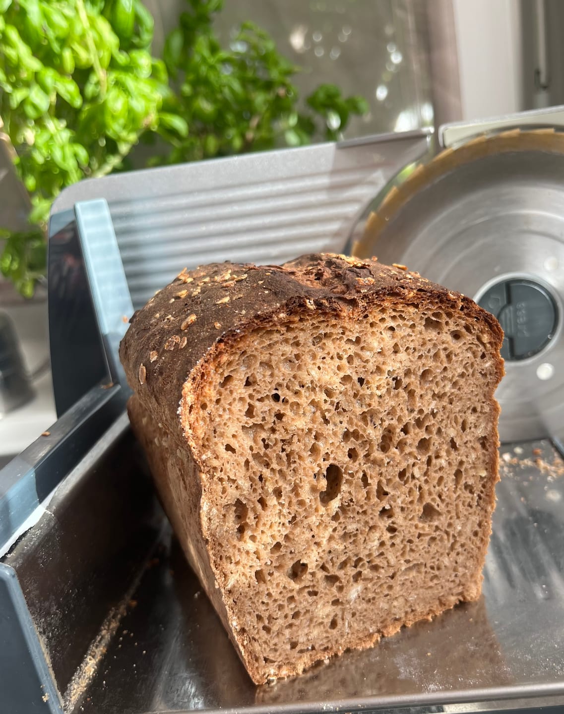 Customer photo review of Fräulein WALTRAUD - Bio-Fertigbackmischung