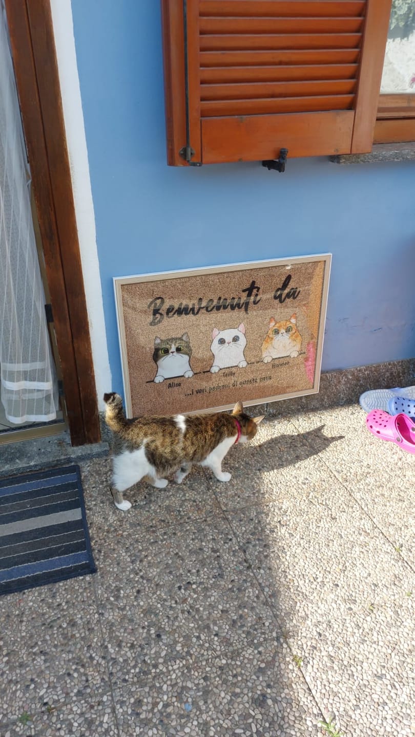 Customer photo review of Benvenuti da gatti curiosi - Zerbino personalizzato