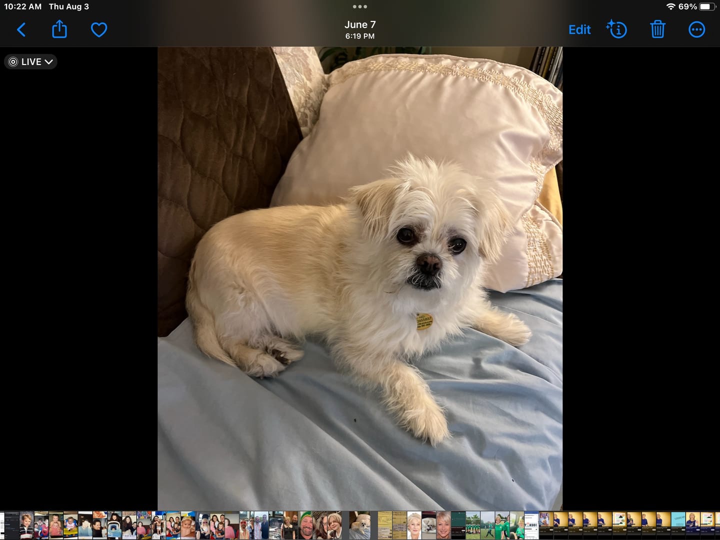 Customer photo review of Earthbones Dental Chews For Dogs