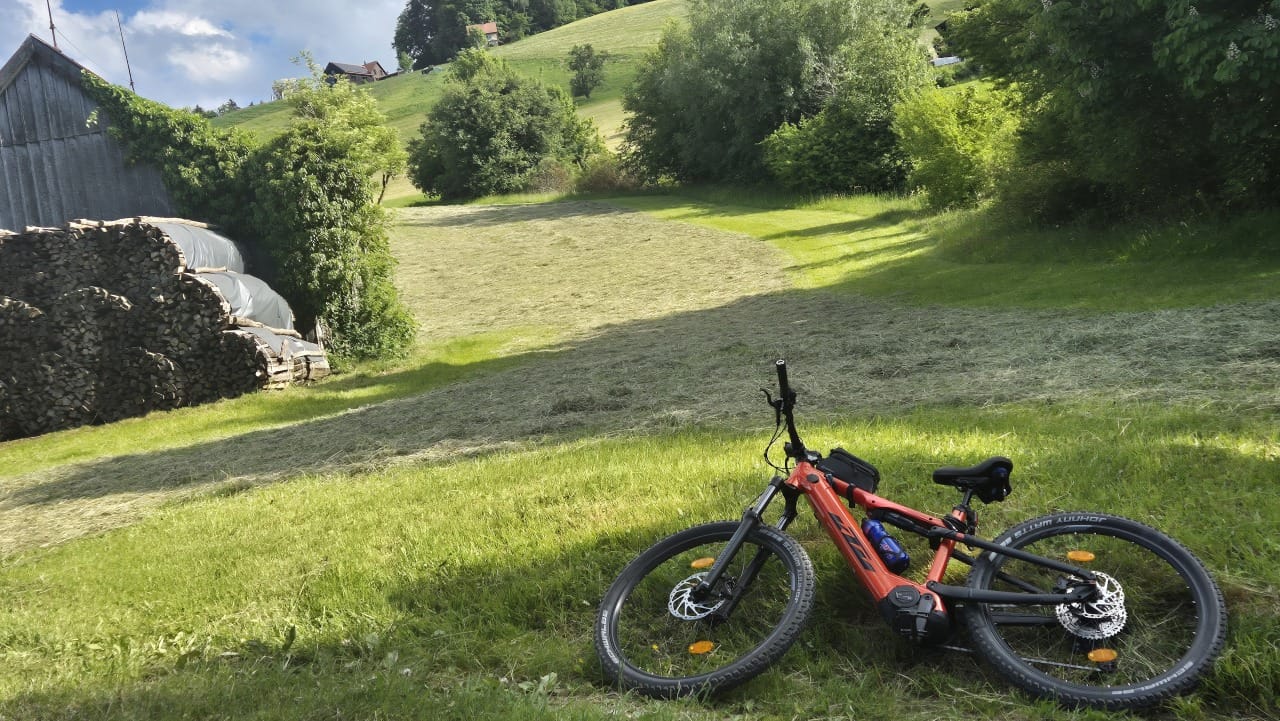 Customer photo review of Bikesattel - Premium Universal Sattel