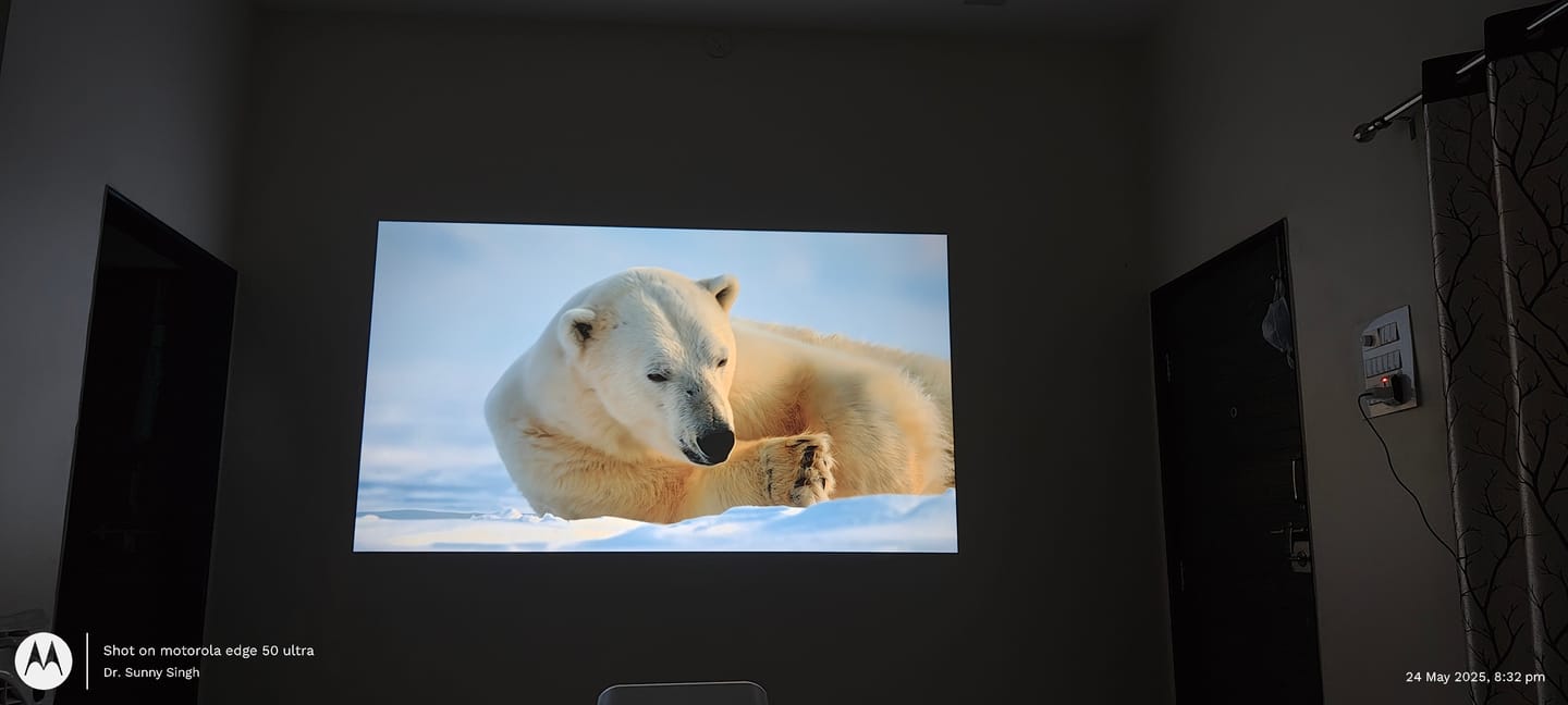Customer photo review of Lumex Flix