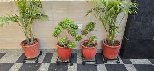 Customer photo review of United Crafts Rozy Wheel Pot Stands for Planters