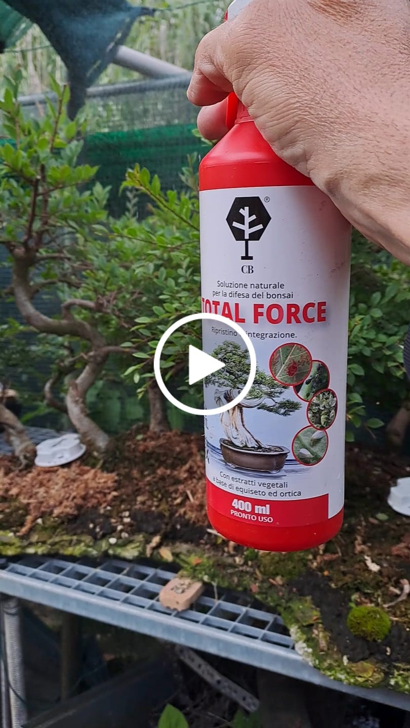 Customer video review of TOTAL FORCE CB® X2