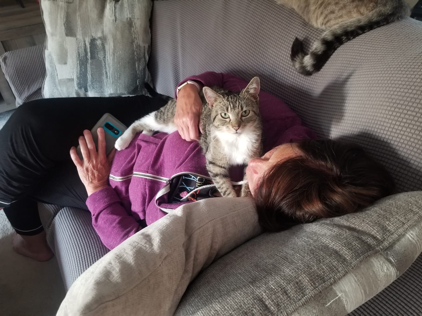 Customer photo review of Cat Allergy Relief & Immune Support Remedy