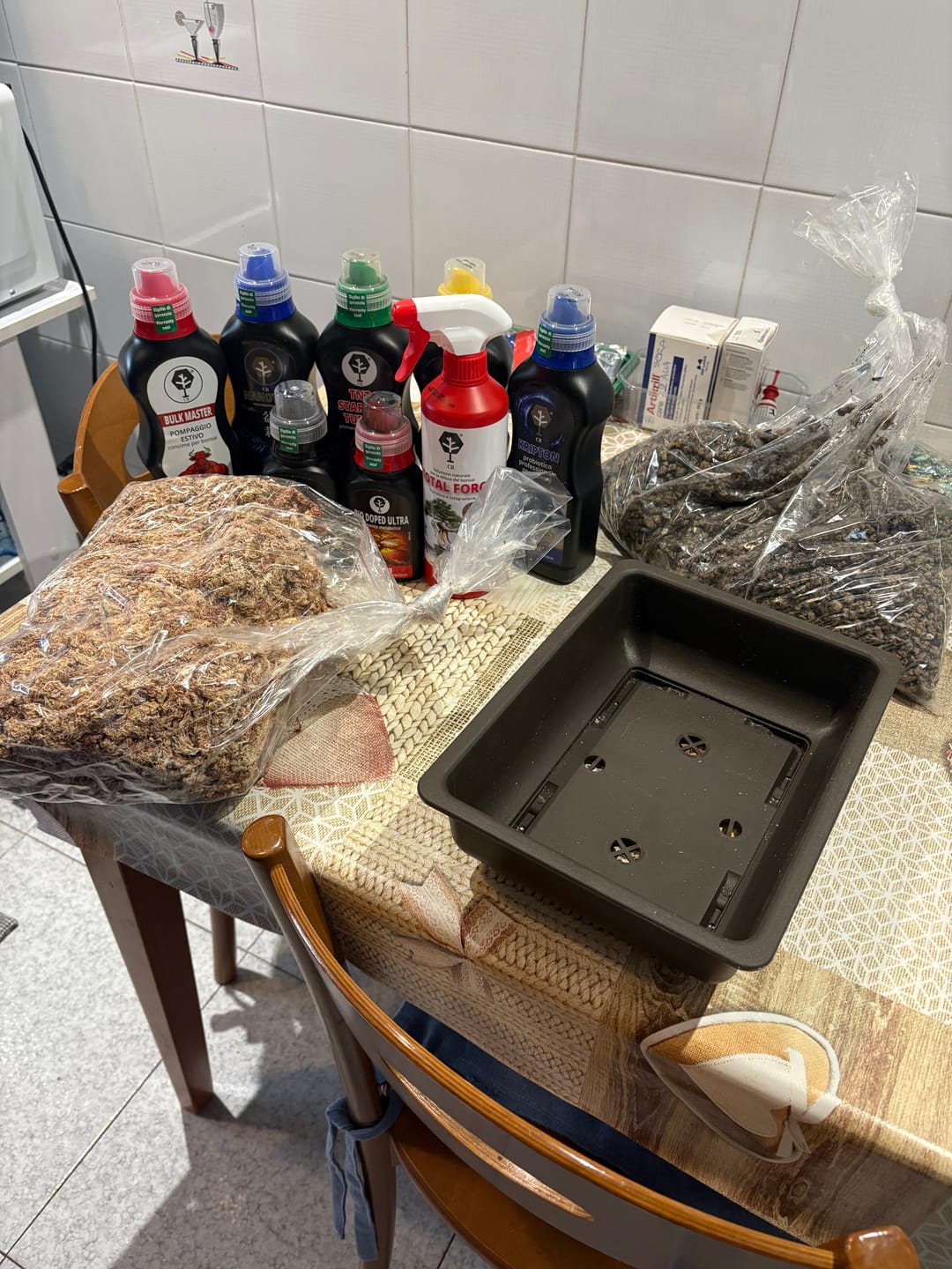 Customer photo review of VASI BONSAI PLASTICA RIGIDA PROFESSIONALI