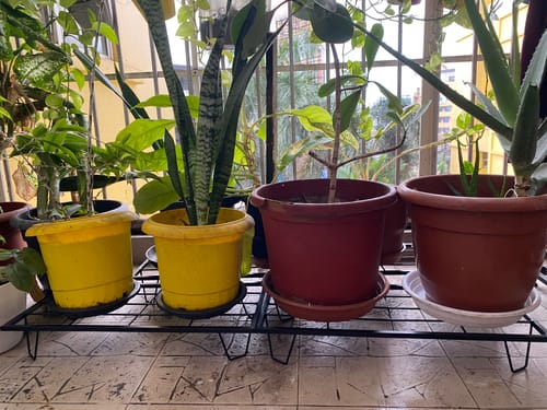 Customer photo review of United Crafts Indoor & Outdoor Rectangle Heavy Flower Pot Stand