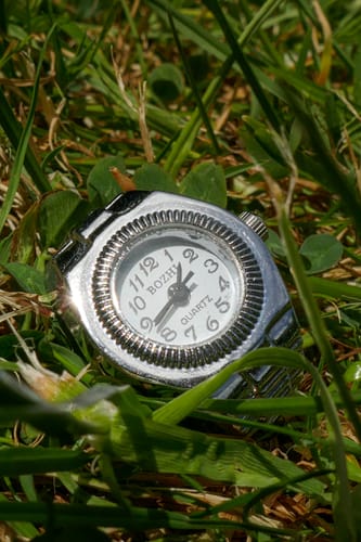 Customer photo review of Watch Ring