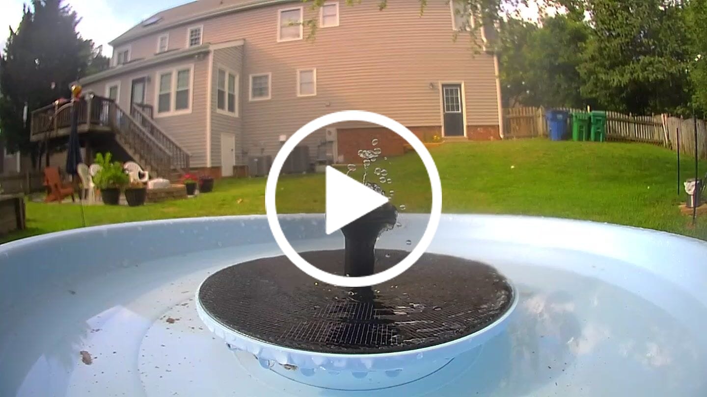 Customer video review of Birdfy Bath Pro - Smart Bird Bath with Camera