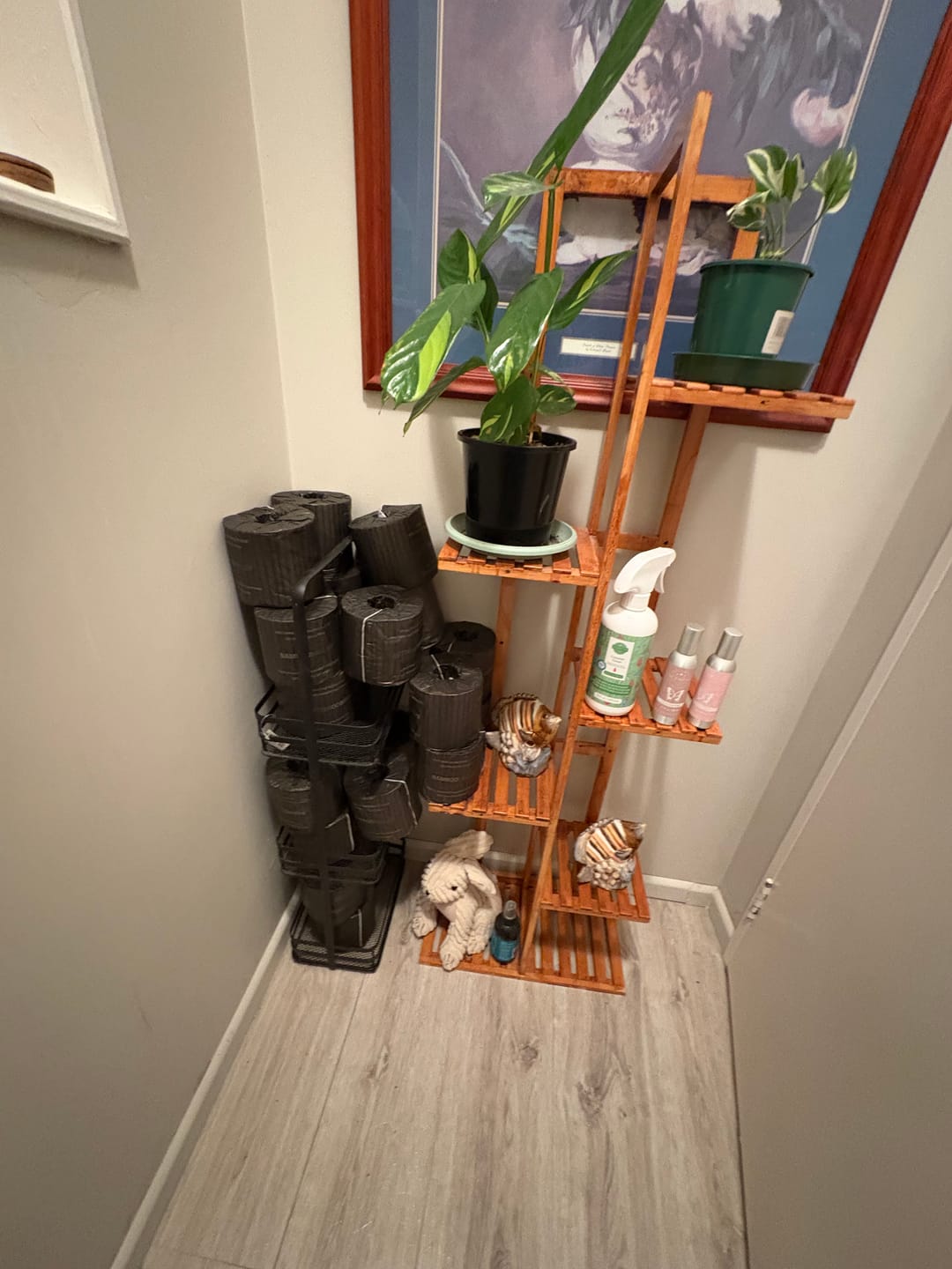 Customer photo review of Donate to Cleaning up the Ocean! 24 Pack