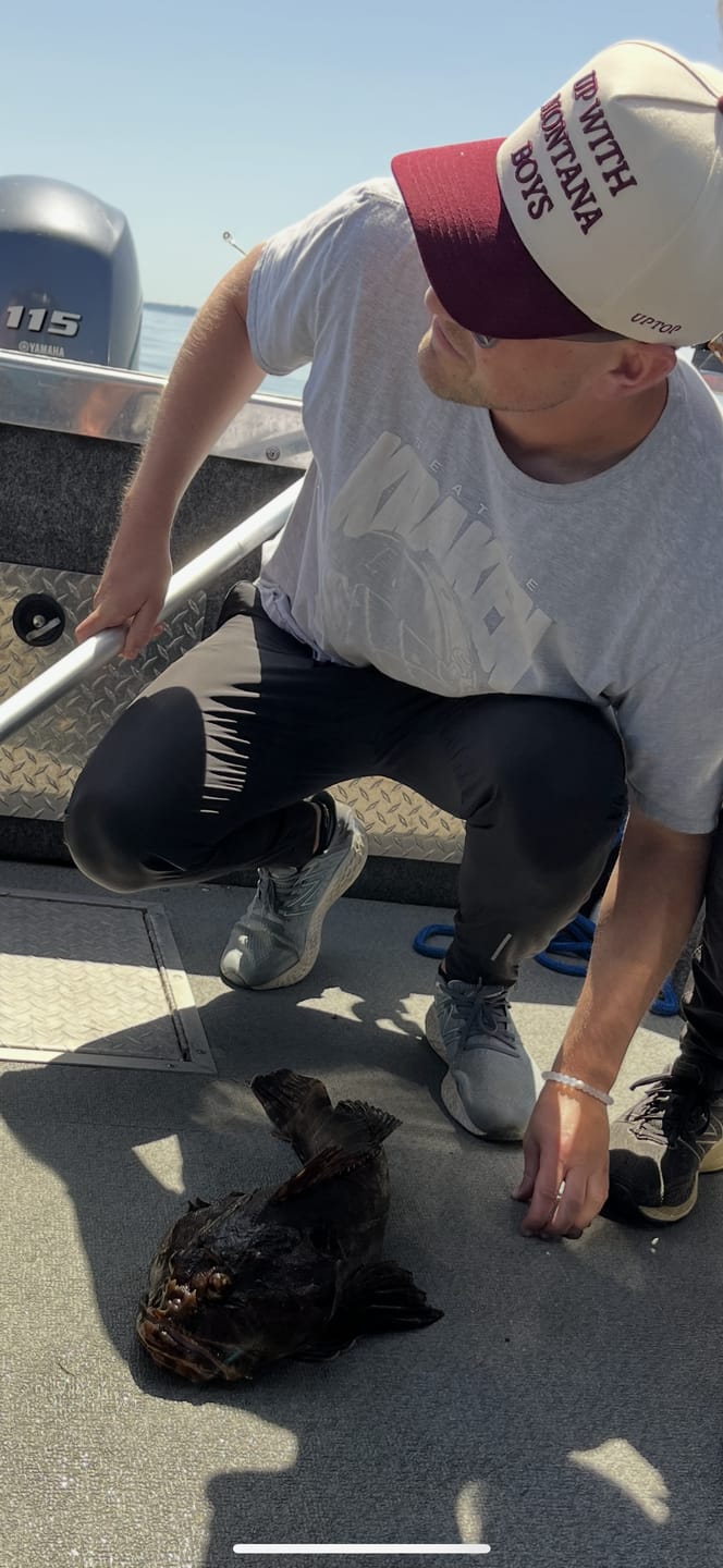 Customer photo review of Swimmax Fishing Lure | Eight-Segmented | BKK Hook |  Easy Catch | Rattling with Noise | Heavy-Duty Dyneema Fiber Joint | Jointed Swimbait for Bass & Trout & Crappie