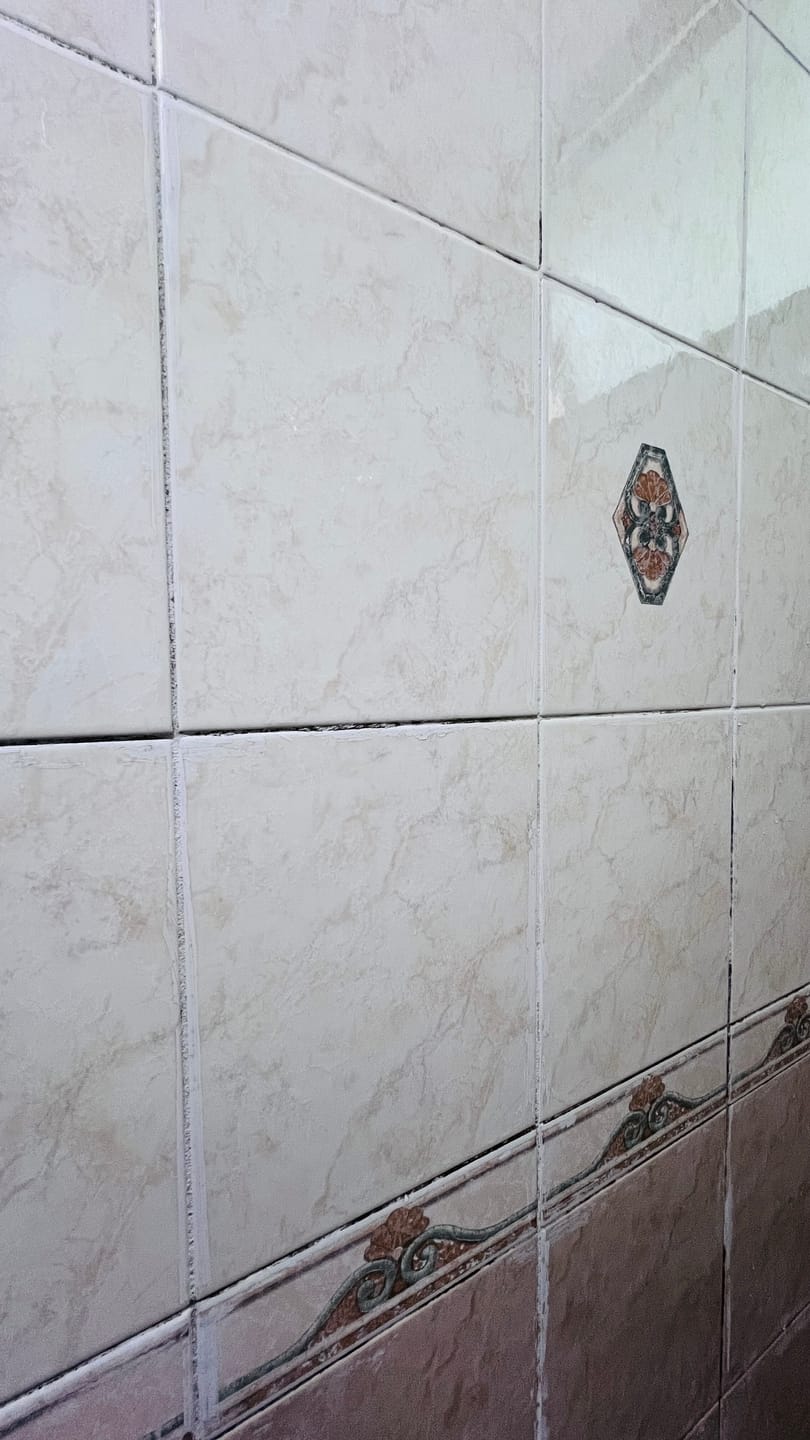 Customer photo review of Mold Remover Gel