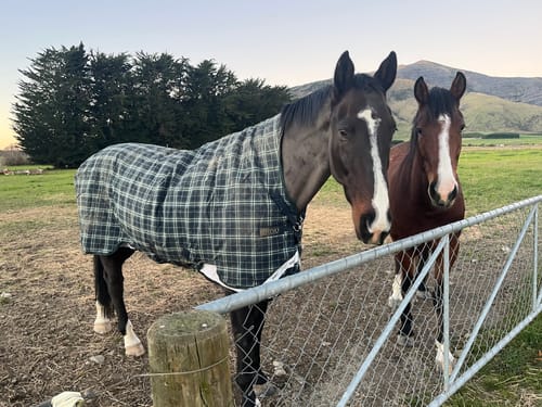 Customer photo review of Rhino Wug Turnout Medium Varilayer