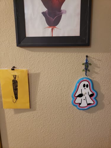 Customer photo review of Ghost Light Switch Cover