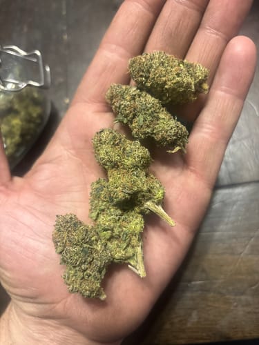Customer photo review of 1oz Greenhouse Smalls