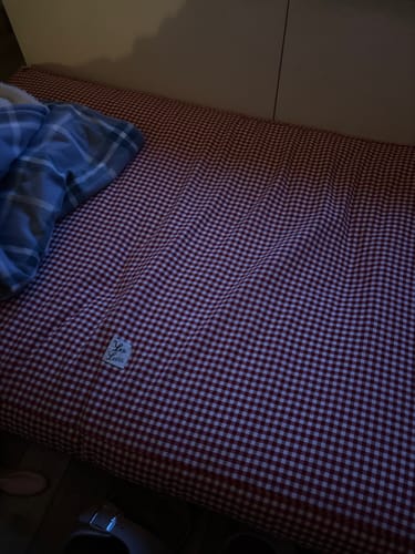 Customer photo review of Materassino Sfoderabile Vichy Bluette