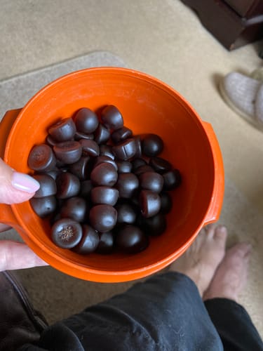 Customer photo review of 2-Month Mushroom Gummies