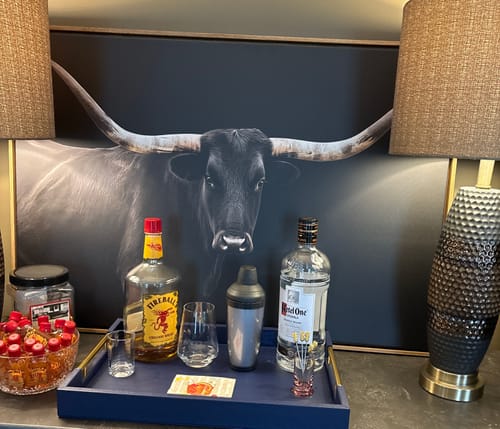 Customer photo review of Longhorn Cattle Wall Art Canvas Print, Framed Texas Ranch Art Picture Print, Western Cow Perfect Farmhouse Decor Artwork