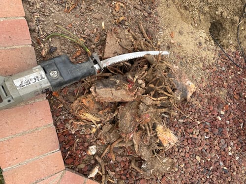 Customer photo review of Tree Trimming/Wood Cutting – Japanese Teeth 6 TPI Reciprocating Saw Blade