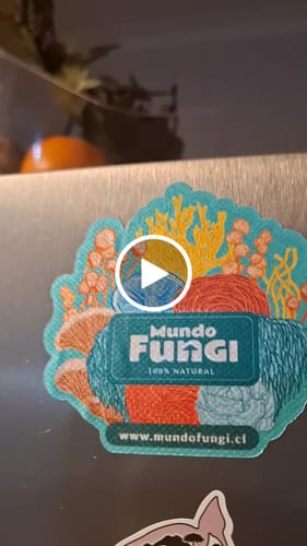 Customer video review of Melena de León en Cápsulas - Ultra Concentrado