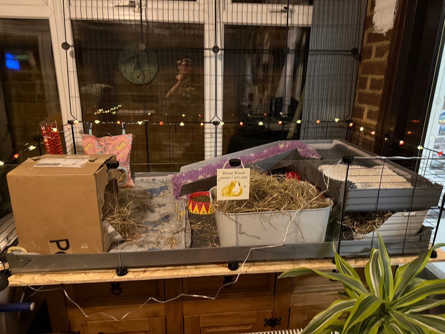 Customer photo review of 4x2 C&C Cage with Loft