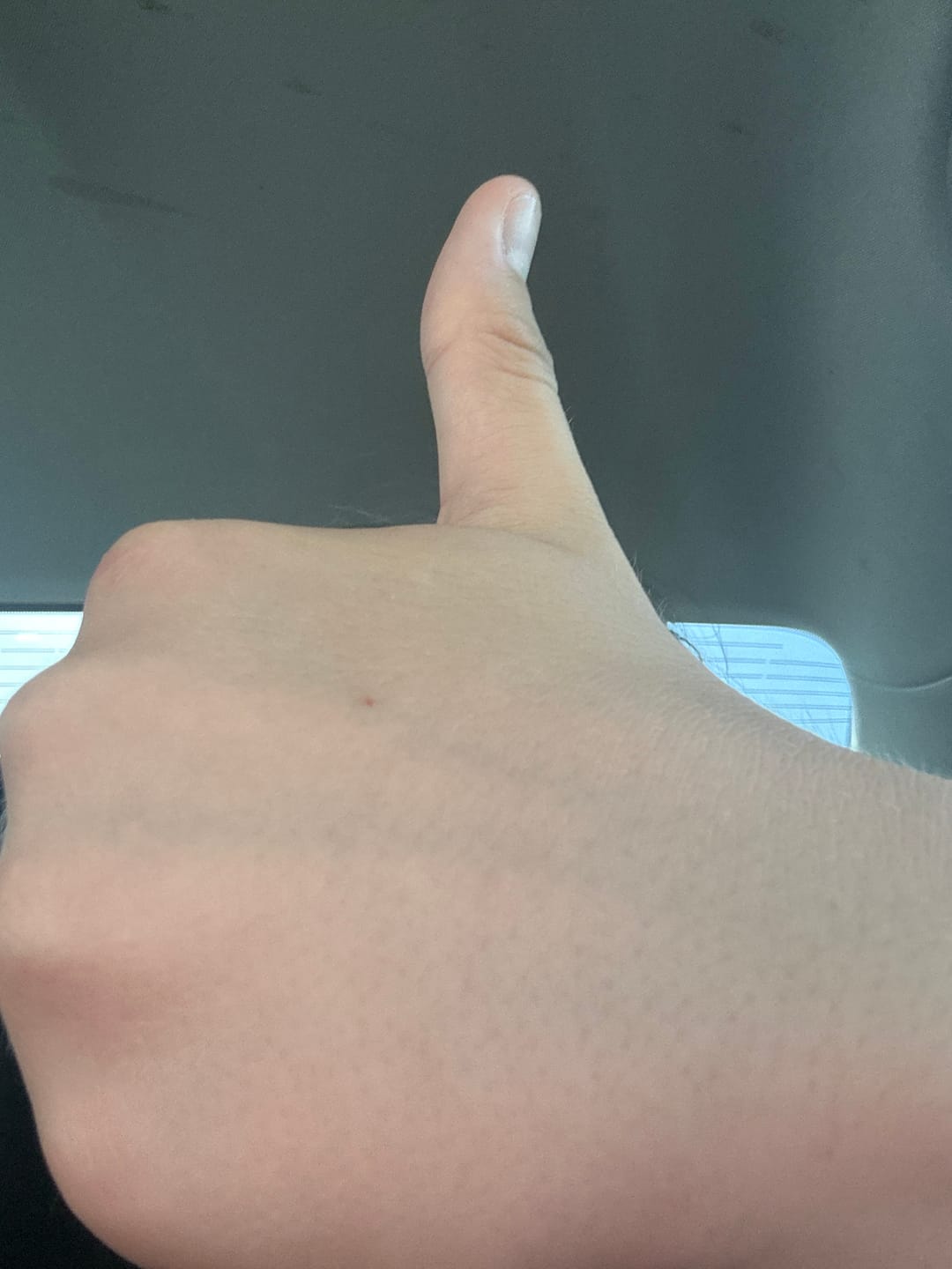 Customer photo review of The African Panowie