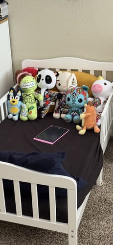 Customer photo review of Thrash the Dino