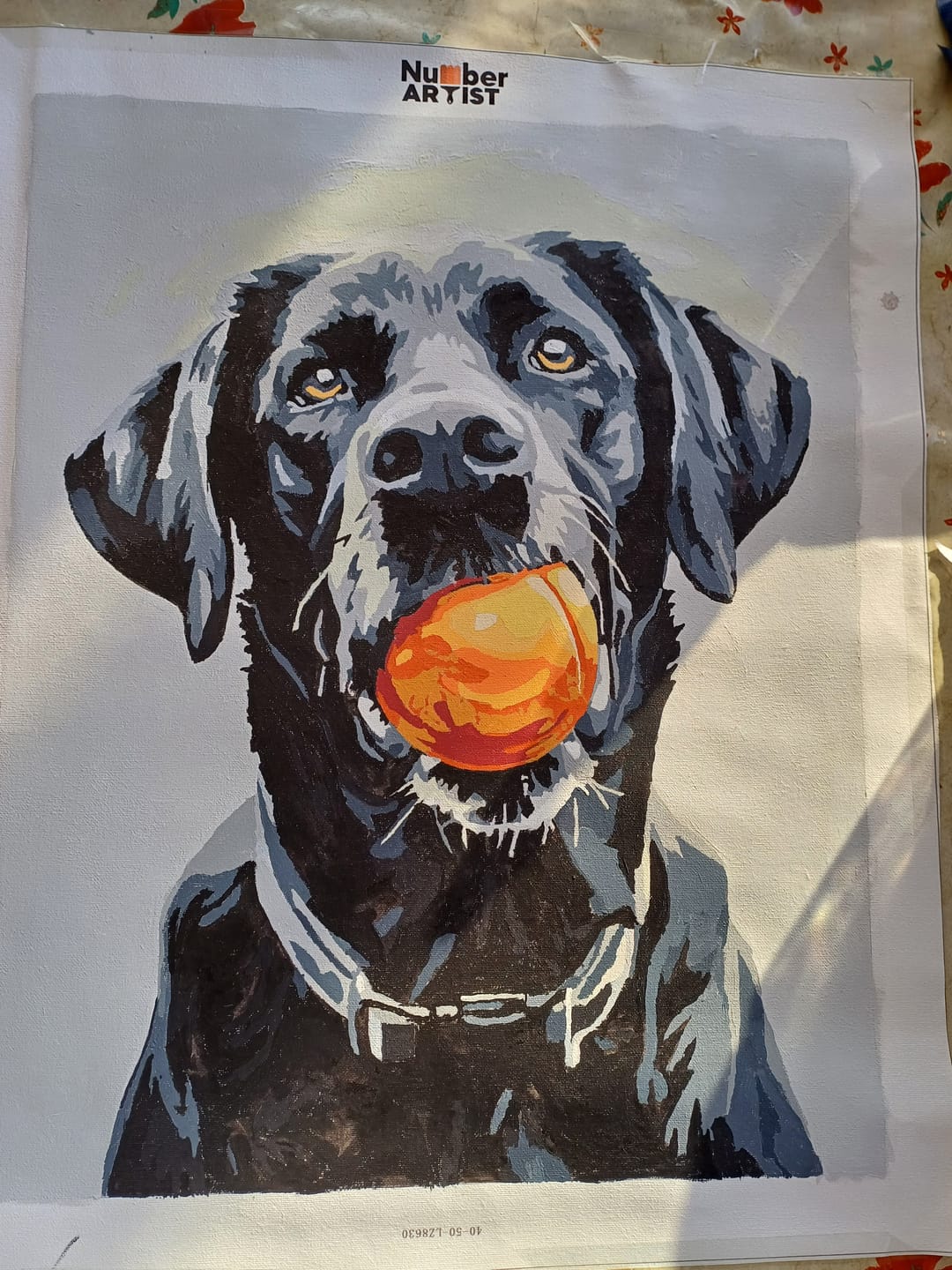 Customer photo review of Play Time