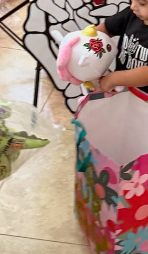 Customer photo review of Candy the Unicorn