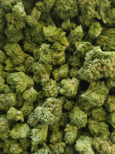 Customer photo review of Bulk Indoor THCA Smalls