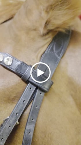 Customer video review of Trense Silver Blush