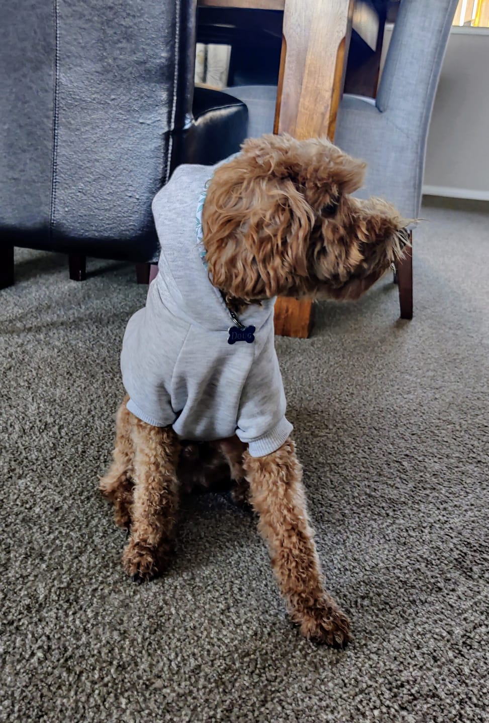 Customer photo review of Hoodie - Henry Grey