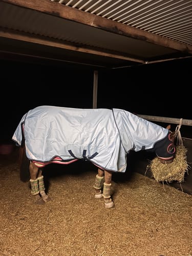 Customer photo review of LE Boxter Turnout 0g