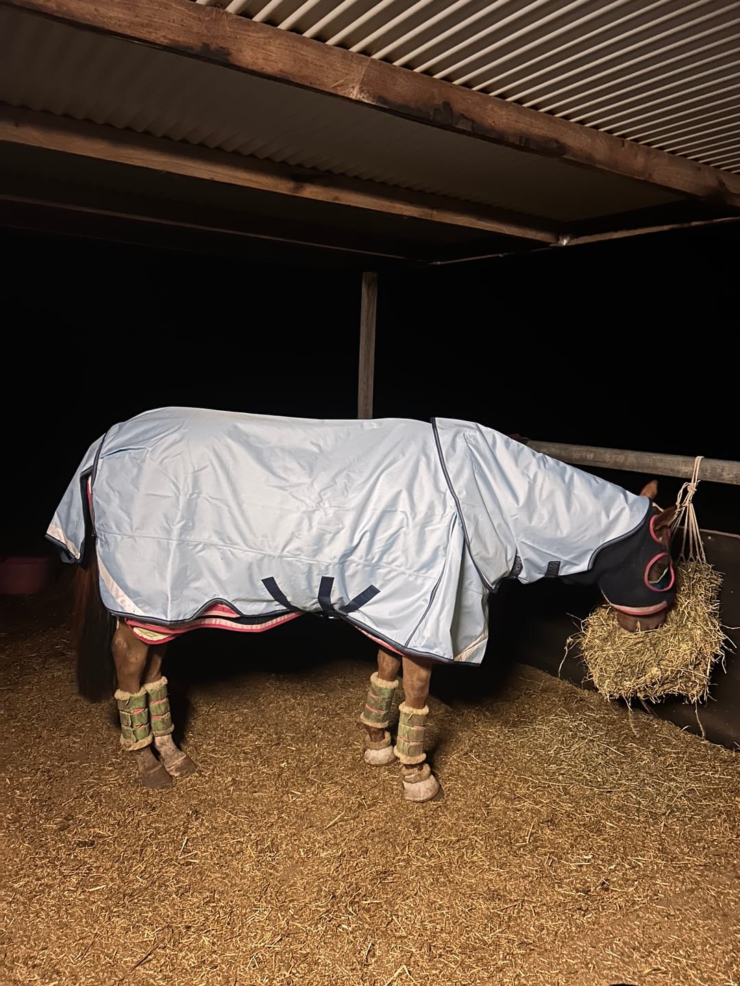 Customer photo review of LE Boxter Turnout 0g