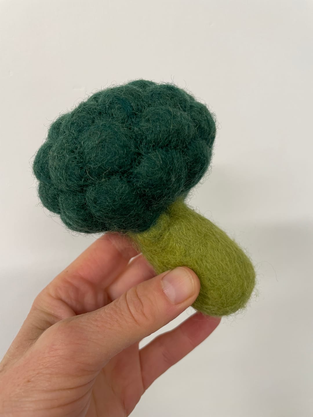 Customer photo review of Felt Vegetables and Fruits - Pick and Choose