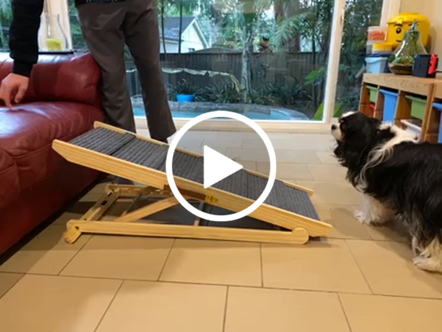 Customer video review of Pawz Premium Wooden Dog Ramp - Adjustable Height